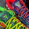 Nike Kobe 8 Protro What The