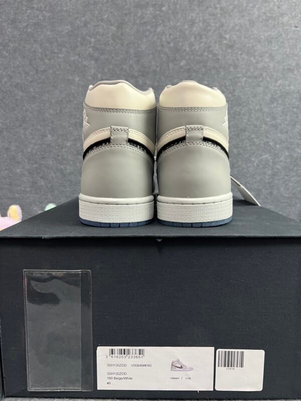 Jordan 1 Retro High Dior