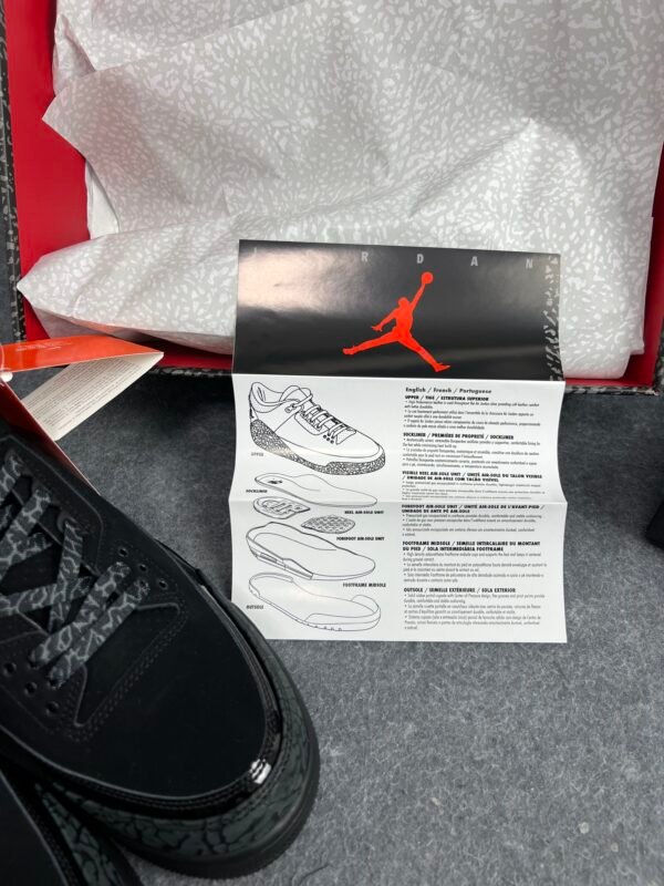 Jordan 3 Retro Black Cat (2025)