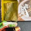 Nike SB Dunk Low Street Hawke
