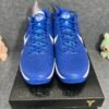 Nike Kobe 6 Protro Dodgers