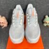 Nike Air Zoom Pegasus Premium Airscape