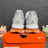Nike Air Zoom Pegasus Premium Airscape