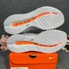 Nike Air Zoom Pegasus Premium Airscape