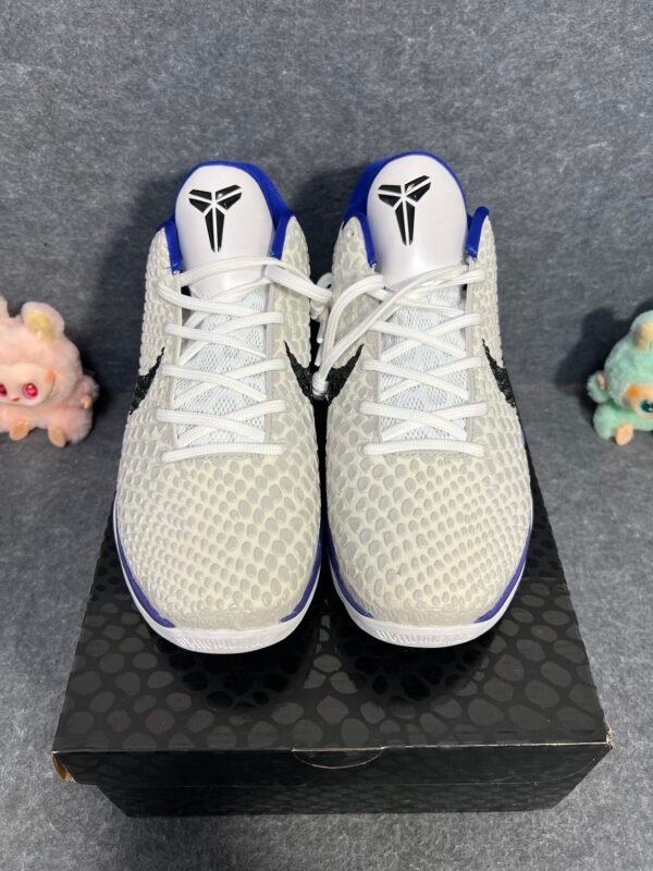 Nike Kobe 6 Concord