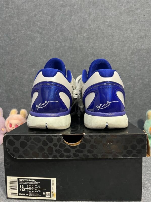 Nike Kobe 6 Concord