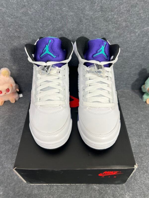 Jordan 5 Retro Grape