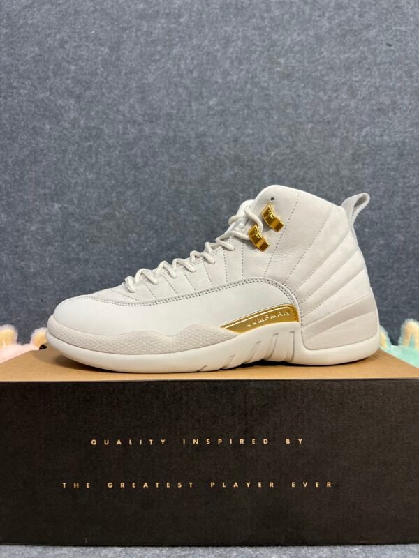 Jordan 12 Retro Phantom