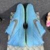 NIKE ZOOM KOBE VI PE