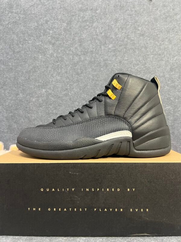 Jordan 12 Retro The Master