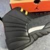 Jordan 12 Retro The Master
