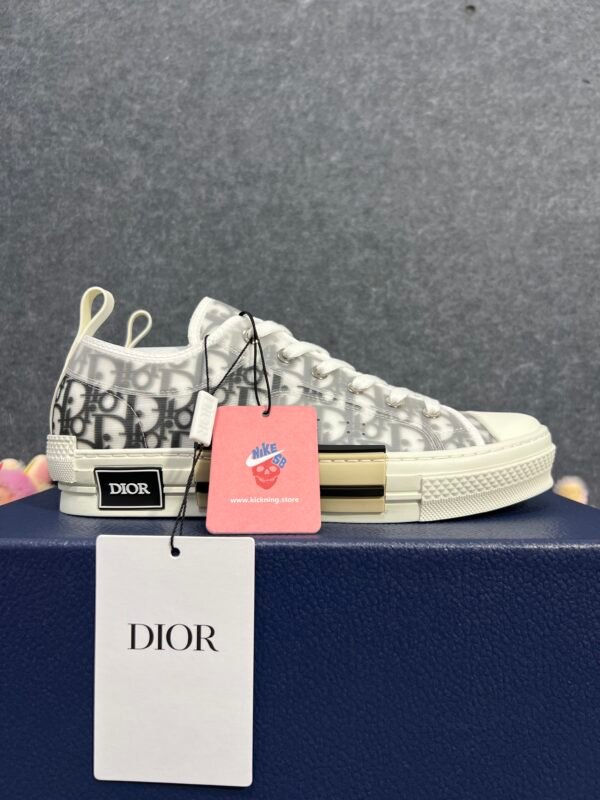 Dior B23 Low Top Logo Oblique