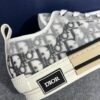 Dior B23 Low Top Logo Oblique