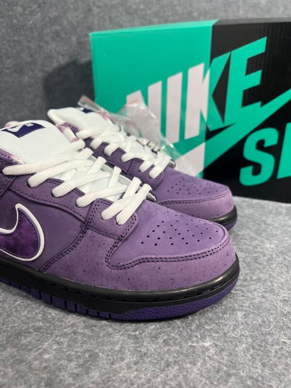 Nike SB Dunk Low Concepts Purple Lobster