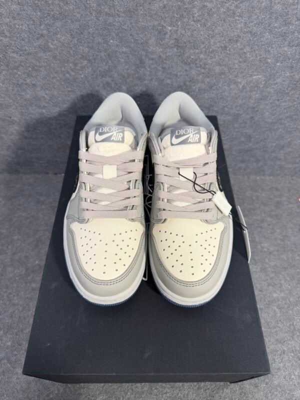 Jordan 1 Retro Low Dior