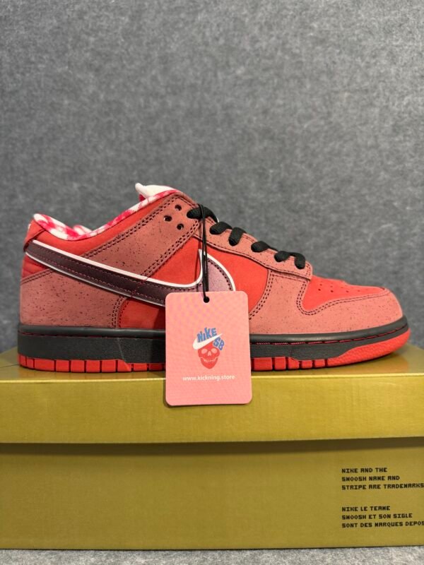 Nike SB Dunk Low Concepts Red Lobster
