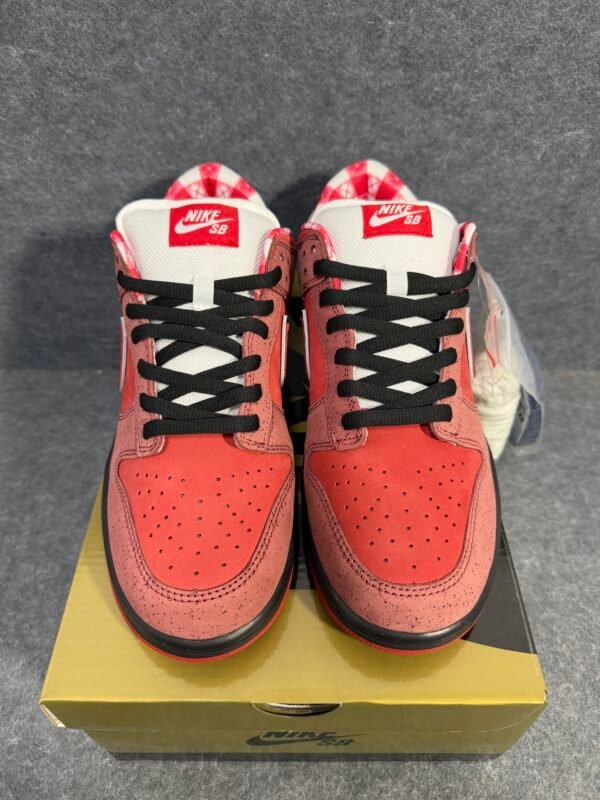 Nike SB Dunk Low Concepts Red Lobster