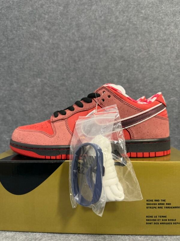 Nike SB Dunk Low Concepts Red Lobster