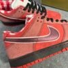 Nike SB Dunk Low Concepts Red Lobster
