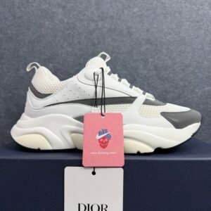 Dior B22 White Silver