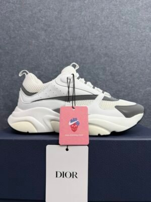 Dior B22 White Silver