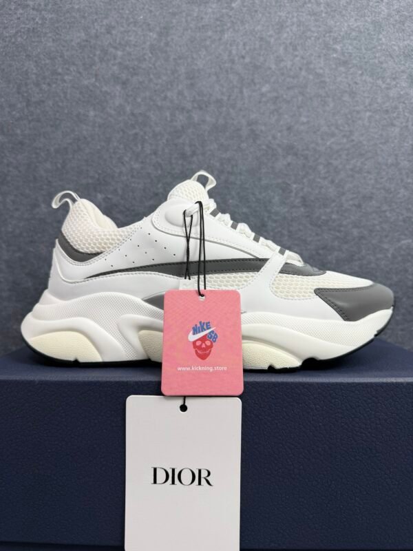 Dior B22 White Silver