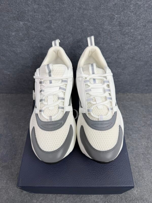 Dior B22 White Silver