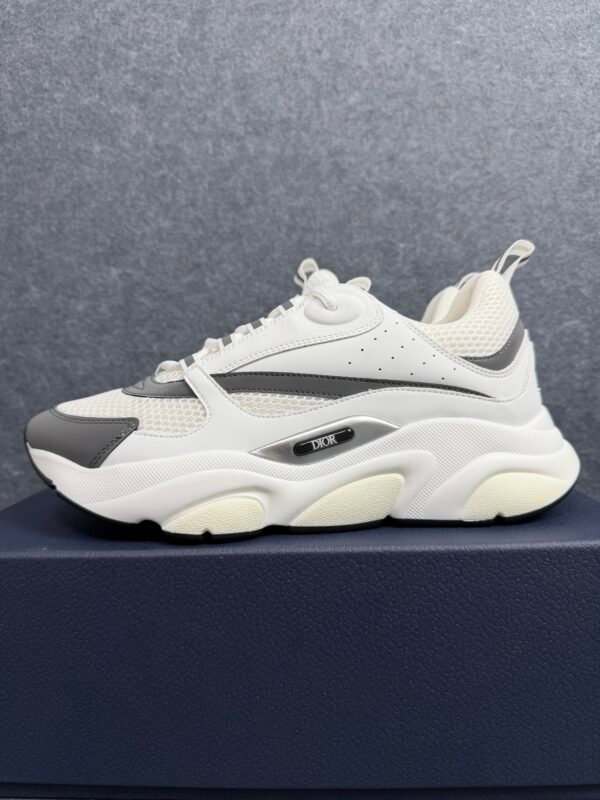Dior B22 White Silver