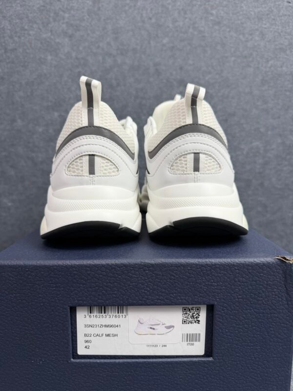 Dior B22 White Silver