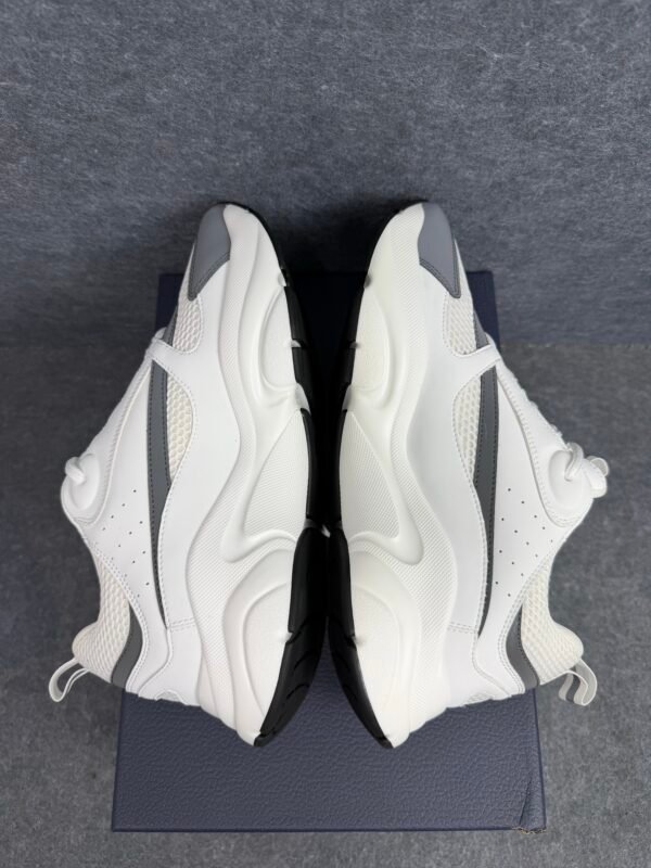 Dior B22 White Silver