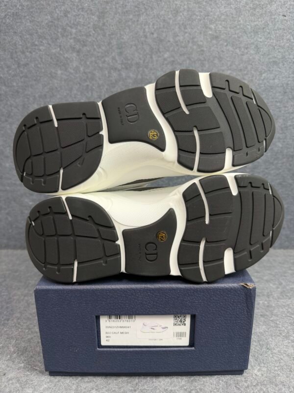 Dior B22 White Silver