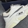 Dior B22 White Silver