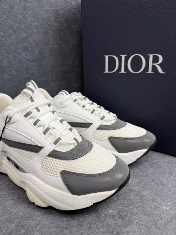 Dior B22 White Silver