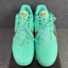 Nike Kobe 6 Protro Jalen Brunson Statue of Liberty